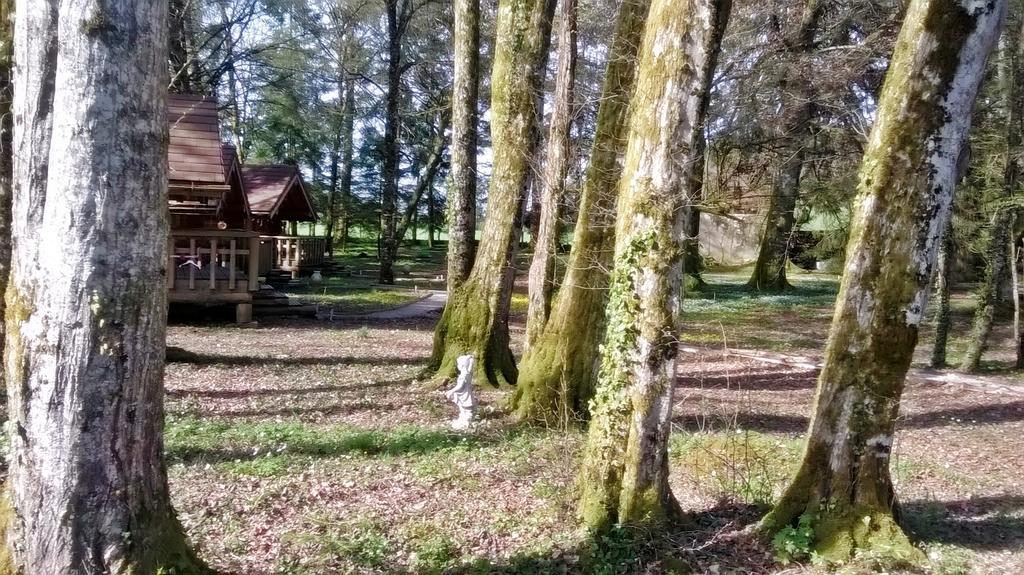 Chambres D'Hotes La Gargaille Alieze Экстерьер фото