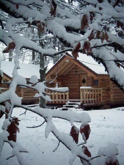 Chambres D'Hotes La Gargaille Alieze Экстерьер фото