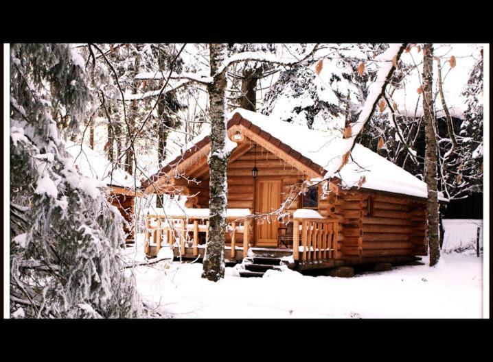 Chambres D'Hotes La Gargaille Alieze Экстерьер фото